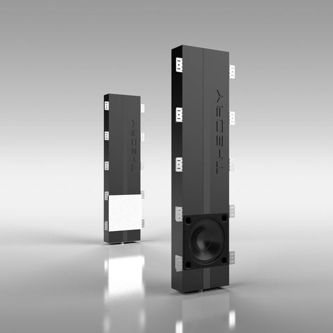 Theory Audio Design IWS12-SPKR